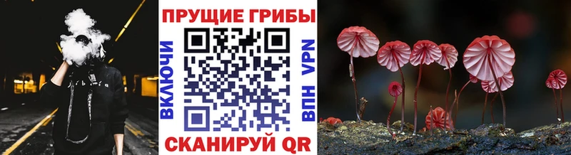 Галлюциногенные грибы Psilocybine cubensis  ОМГ ОМГ сайт  Ногинск  купить наркотик 